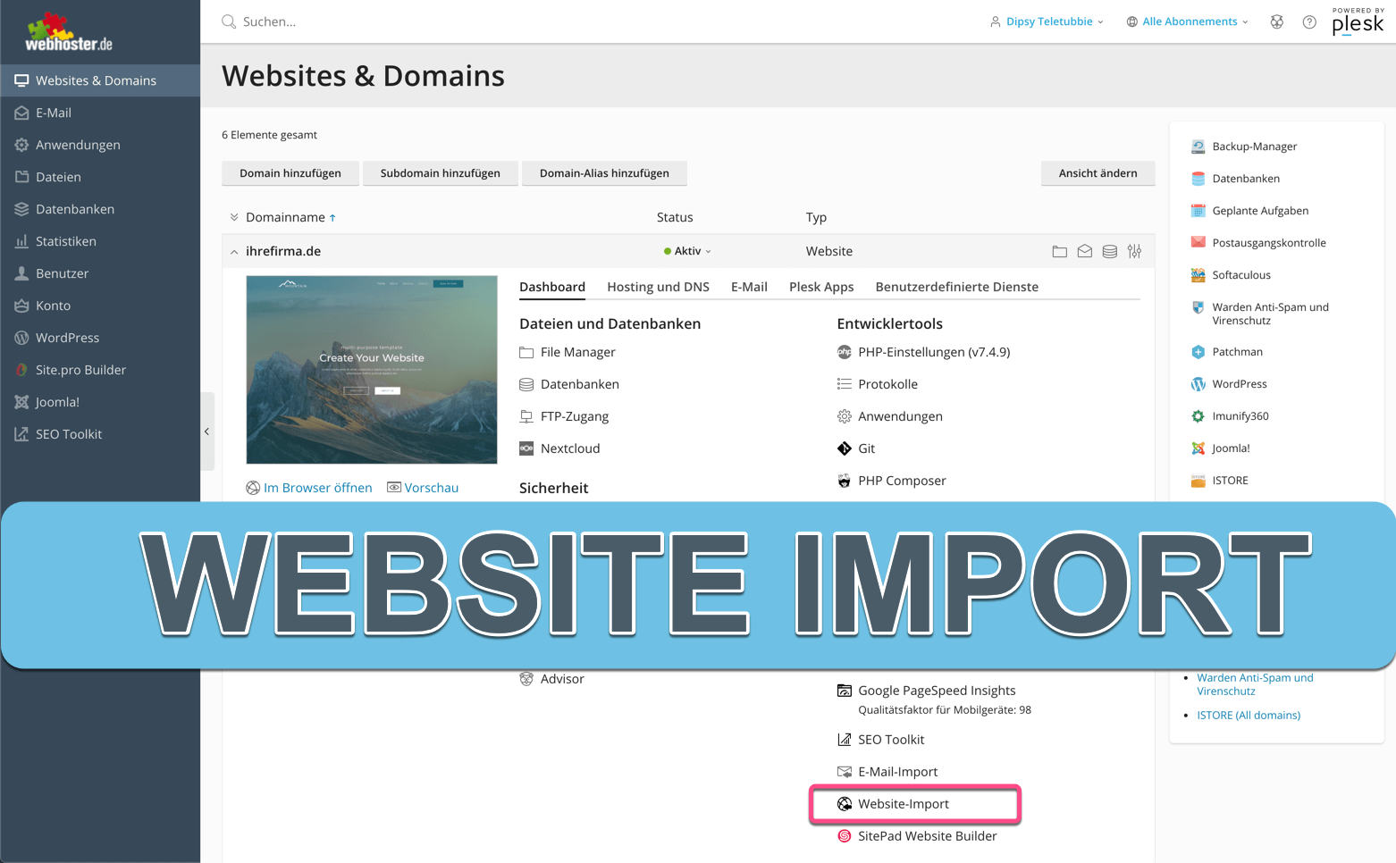 Website Import im Plesk Menü